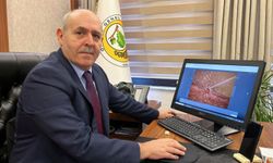 Çanakkale Orman Bölge Müdürü Demirci AA'nın 'Yılın Kareleri' oylamasına katıldı