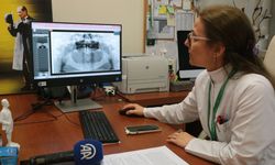Çene kemiği kayıplarında yenilikçi tedavi yöntemi geliştirildi