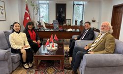 Çinli sanatçıların 'Çin At Yılı' temalı resimleri Fethiye'de sergileniyor