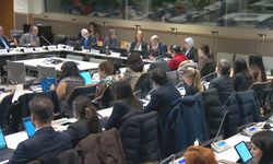 Darülaceze 'iyi uygulama örneği' olarak BM'de tanıtıldı