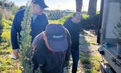 Datça'nın 'Doğa Dedesi'nden Ankara Üniversitesinin 80. kuruluş yılında yaklaşık 500 fidan bağışı