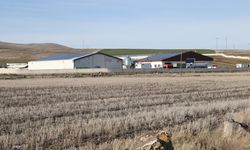 Devlet desteğiyle kurduğu işletmesinde günlük 1,5 ton süt elde ediyor