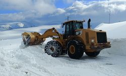 Doğu Anadolu'da 4 ilde 122 yerleşim yerinin yolu ulaşıma kapandı