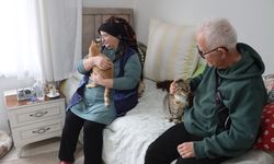 Doktor önerisiyle başlayan kedi sevgisi 40 kedilik yuvaya dönüştü