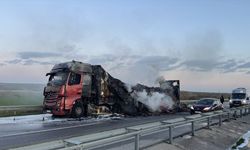 Edirne'de domates yüklü tırda çıkan yangın söndürüldü