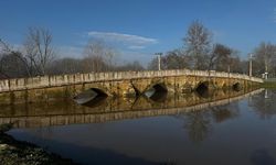 Edirne'de Meriç Nehri'nin debisi iki günde yaklaşık 3 katına çıktı