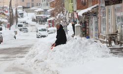 Elazığ, Siirt, Şırnak ve Bingöl'de 328 yerleşim yerine ulaşım sağlanamıyor