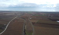 Elazığ'da üzüm üreticileri yoğun kar yağışı nedeniyle verimden umutlu