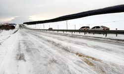 Erzurum, Ardahan, Tunceli, Kars ve Erzincan'da kar etkili oldu