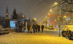 Erzurum'da kar yağışı etkili oluyor