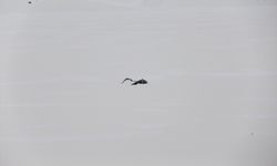 Erzurum'da soğuk havanın etkisiyle Köyceğiz Göleti'nin yüzeyi buz tuttu