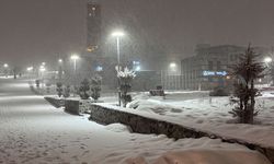 Erzurum'da yoğun kar yağışı etkili oluyor