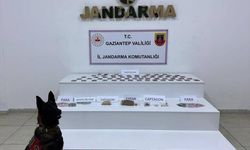 Gaziantep'te uyuşturucu operasyonunda 11 şüpheli tutuklandı