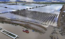Gediz Nehri'nin taşması sonucu İzmir'de tarım arazileri sular altında kaldı