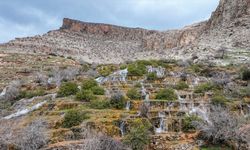 Güneydoğu'da kuraklıktan etkilenen şelaleler ve çağlayanlar kar sularıyla canlandı
