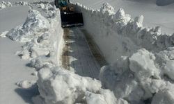 Hakkari'de ekipler karla kaplı üs bölgesinin yolunu açmaya çalışıyor
