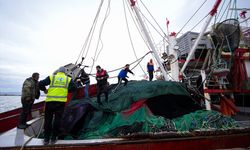 Hava koşulları nedeniyle denize açılamayan Egeli balıkçılar sezonun kalanından umutlu