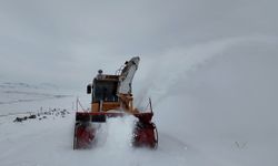 Iğdır'da kar nedeniyle ulaşıma kapanan köy yollarında çalışma sürüyor