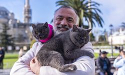 İstanbul'u gezen seyyah kedinin omuz macerasına yavrusu da katıldı