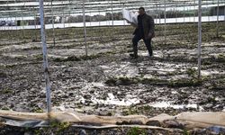 İzmir 6 günde şubat ortalamasının üzerinde yağış aldı