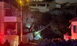 İzmir'de elektrik tellerinin üzerine devrilen ağacın neden olduğu yangın söndürüldü