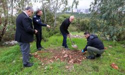 İzmir'de zehirlendiği iddia edilen hayvanlarla ilgili inceleme başlatıldı