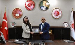 Kadına yönelik 'yaralama' suçunda uzlaşmanın anahtarı 'LÖSEV ve Çocuk Evleri'ne bağış oldu