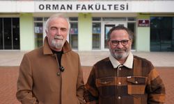 Karabük'teki orman yangınları sonrası doğal iyileşme süreci projeyle incelenecek