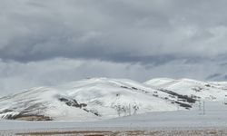 Kars ve Ardahan'da kar yağışı etkili oldu
