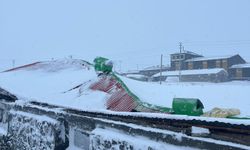 Kars'ta biriken kar nedeniyle çöken iki ahırdaki 4 büyükbaş hayvan telef oldu