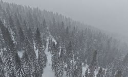 Kastamonu'nun yüksek kesimlerinde yoğun kar yağışı ve sis etkili oluyor