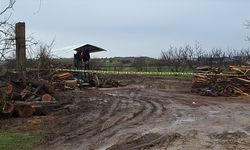 Kırklareli'nde odun keserken hızarın üzerine düşen işçi ağır yaralandı