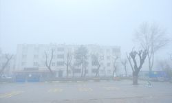 Kırklareli'nde sis etkili oldu