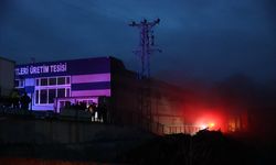 Kırklareli'nde süt ürünleri üretim tesisinde çıkan yangın söndürüldü