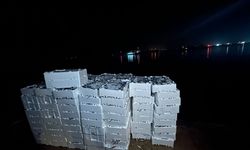 Kırklareli'nde yasal boy sınırı altında avlanan 1 ton 300 kilogram istavrite el konuldu