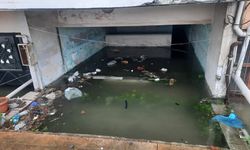 Kocaeli ve Düzce'de şiddetli rüzgar hayatı olumsuz etkiledi