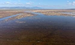 Manisa'da 5 yıl sonra yeniden su tutmaya başlayan Marmara Gölü çiftçiyi umutlandırdı