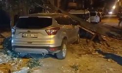 Manisa'da kuvvetli fırtına hayatı olumsuz etkiledi