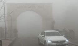 Mardin'de sis etkili oldu