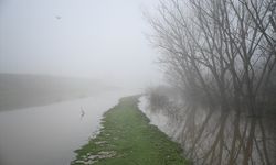 Meriç Nehri'nin debisi düşmeye başladı