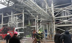 Muğla'da fabrikada çıkan yangın söndürüldü