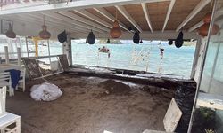 Muğla'da fırtına günlük yaşamı olumsuz etkiliyor