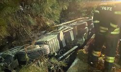 Muğla'da otomobille çarpışıp şarampole devrilen vincin sürücüsü yaralandı