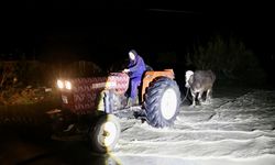 Muğla'nın Seydikemer ilçesindeki su baskını nedeniyle bazı evler tahliye edildi