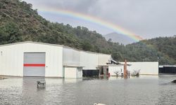 Ortaca'da su baskınları hayatı olumsuz etkiliyor