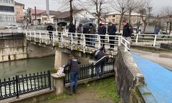 Sakarya'da balık ölümleriyle ilgili inceleme başlatıldı