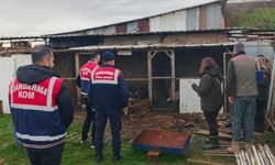 Sakarya'da düzenlenen operasyonda çok sayıda kaçak hayvan ele geçirildi