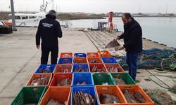 Sakarya'da kaçak avlanan 850 kilogram kalkan balığına el konuldu