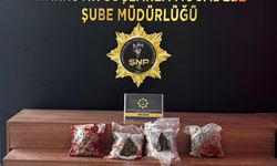 Şanlıurfa'da peynir ve salça bidonlarına gizlenmiş uyuşturucu ele geçirildi