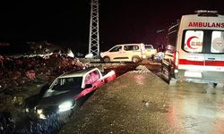 Şanlıurfa'da şarampole devrilen kamyonetteki 3 kişi yaralandı